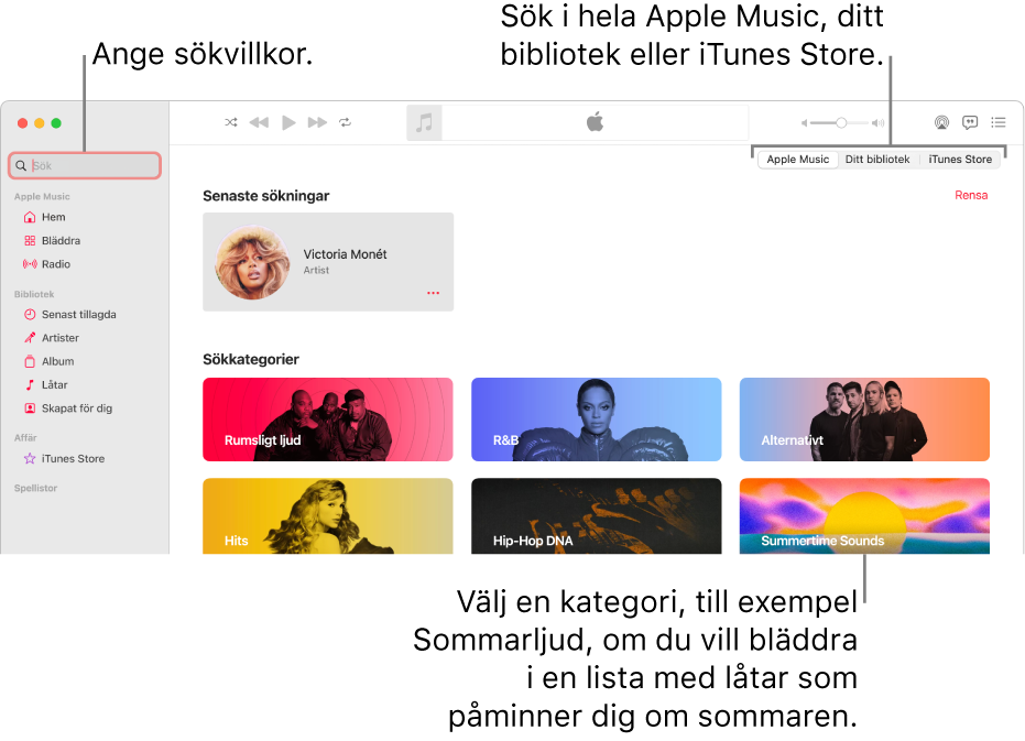 Apple Music-fönstret som visar sökfältet i det övre vänstra hörnet, listan med kategorier i mitten av fönstret och Apple Music, ditt bibliotek och iTunes Store tillgängliga i det övre högra hörnet. Ange sökvillkor i sökfältet och välj sedan att söka i hela Apple Music, bara i ditt bibliotek eller i iTunes Store.