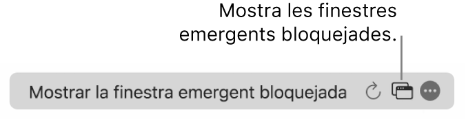 El camp de cerca intel·ligent amb una icona per mostrar les finestres emergents bloquejades.