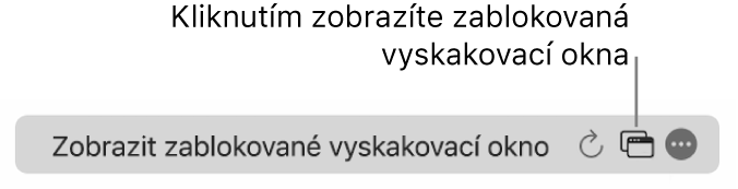 Dynamické vyhledávací pole s ikonou pro zobrazení zablokovaných vyskakovacích oken