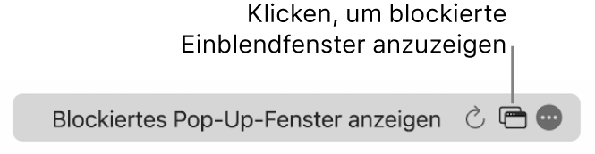 Das intelligente Suchfeld mit einem Symbol, um blockierte Pop-up-Fenster anzuzeigen.