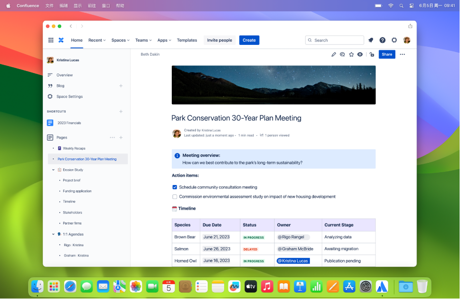 Safari 浏览器窗口，将 Confluence 网站显示为网页 App，以及 Confluence 菜单栏和程序坞中的 Confluence 图标。