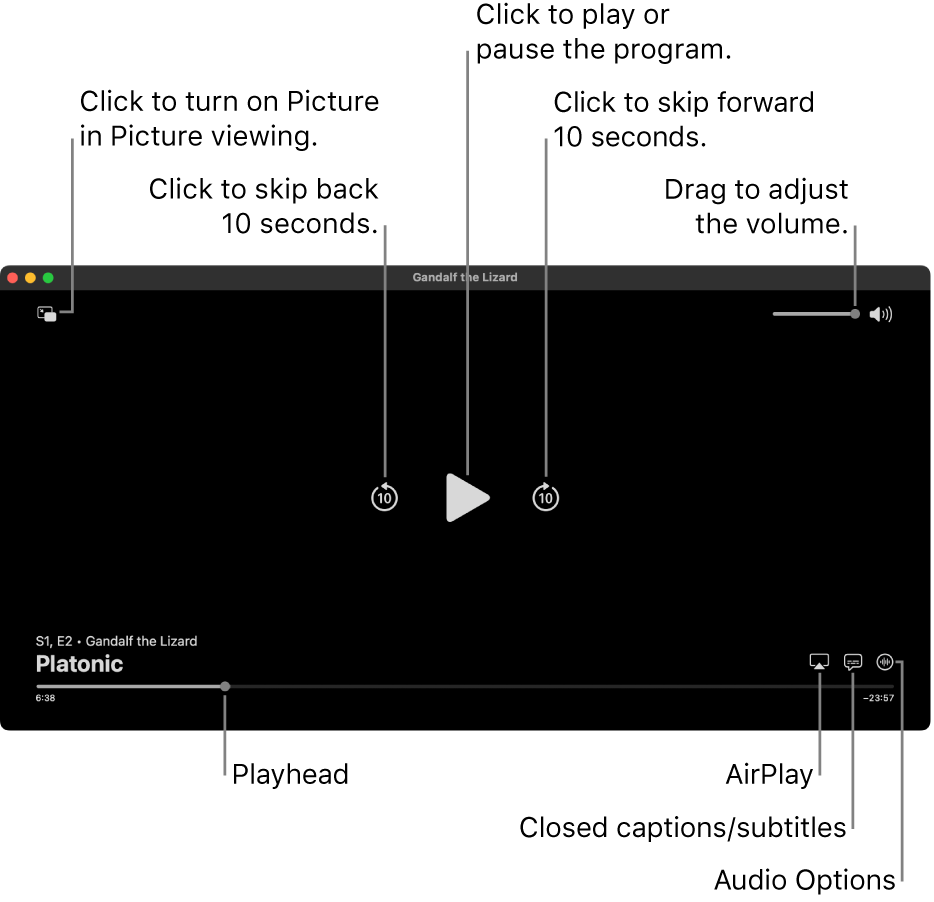 Playback controls in the viewer, including buttons to play or pause, skip forward or backward, and adjust volume