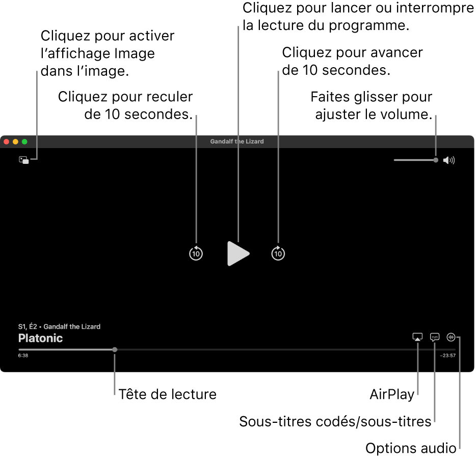 Commandes de lecture dans le visualiseur, comprenant des boutons pour lancer la lecture, la mettre en pause, avancer ou reculer, et ajuster le volume.