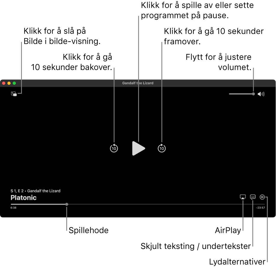 Avspillingskontroller i visningen, inkludert knapper for å spille av eller sette på pause, hoppe fram eller tilbake og justere volumet