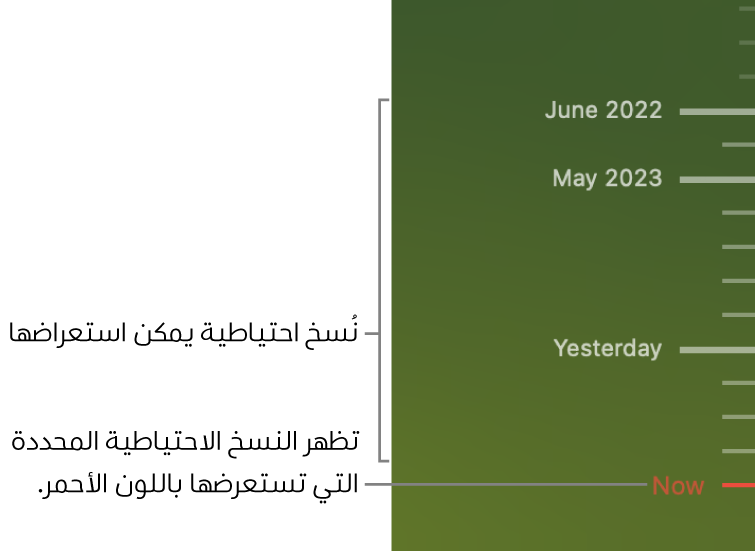 علامات اختيار في المخطط الزمني للنسخ الاحتياطي. علامة اختيار باللون الأحمر تشير إلى النسخة الاحتياطية التي تستعرضها.