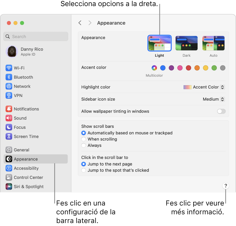 La finestra de “Configuració del Sistema”, amb la configuració d’Aspecte seleccionada a la barra lateral, i les opcions d’Aspecte a la dreta.