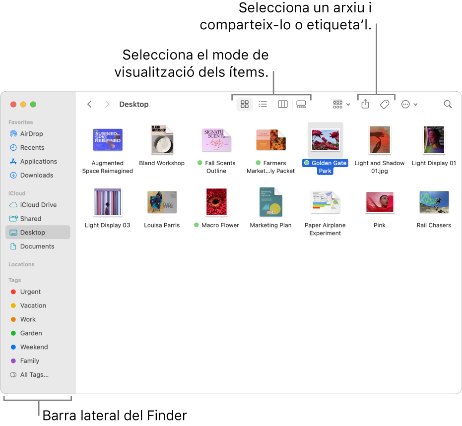 Una finestra del Finder amb la barra lateral del Finder a l’esquerra. A la part superior de la finestra hi ha quatre botons que serveixen per canviar la manera en què es mostren els ítems a la finestra, i botons addicionals per organitzar-los i compartir-los.