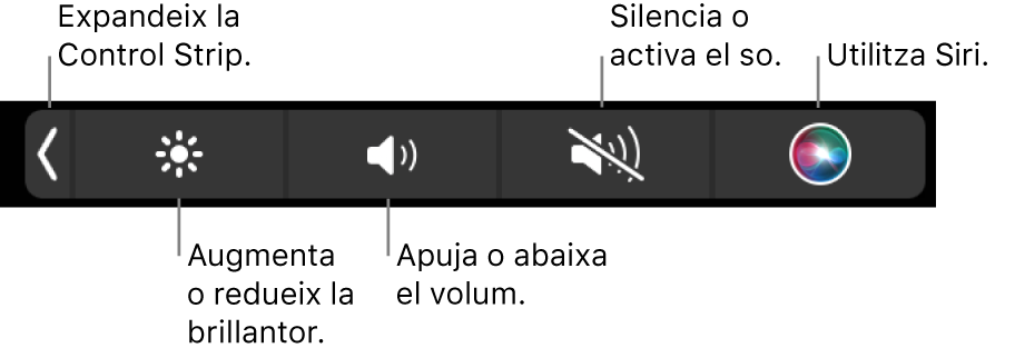 La Control Strip contreta inclou botons, d’esquerra a dreta, per ampliar la Control Strip, augmentar o reduir la brillantor de la pantalla i el volum, silenciar o activar el so i utilitzar Siri.