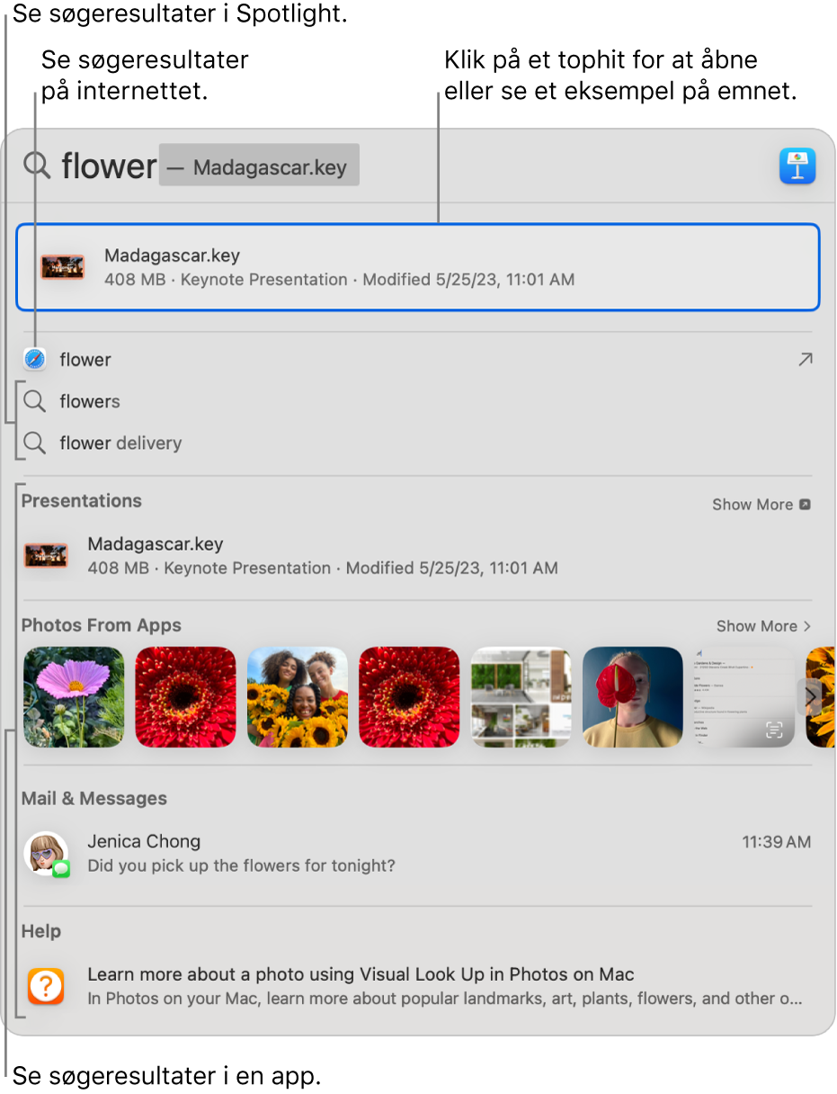 Spotlight-vinduet, der viser søgetekst i søgefeltet øverst i vinduet og derunder resultater.
