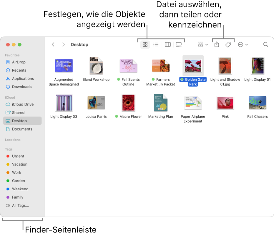 Ein Finder-Fenster mit der Finder-Seitenleiste links. Oben im Fenster befinden sich vier Tasten, mit denen du festlegen kannst, wie Objekte im Fenster angezeigt werden, und weitere Tasten, mit denen du Objekte organisieren und teilen kannst.