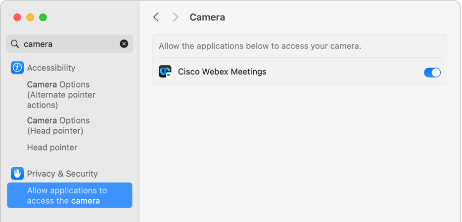 Privacy & Security settings for the camera on your Mac. The apps that can access the camera are turned on, on the right.