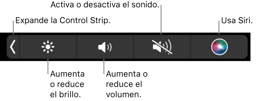 Los botones incluidos en la Control Strip contraída, de izquierda a derecha, para expandir la Control Strip, aumentar o reducir el brillo de la pantalla y el volumen, activar o desactivar el sonido, y usar Siri.