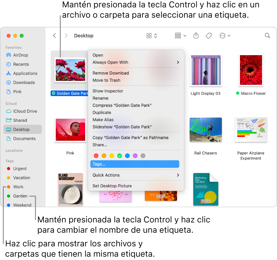 Una ventana del Finder que contiene archivos y carpetas, donde uno de los archivos está seleccionado. En el menú de funciones rápidas, hay opciones de colores para las etiquetas y Etiquetas está resaltada.