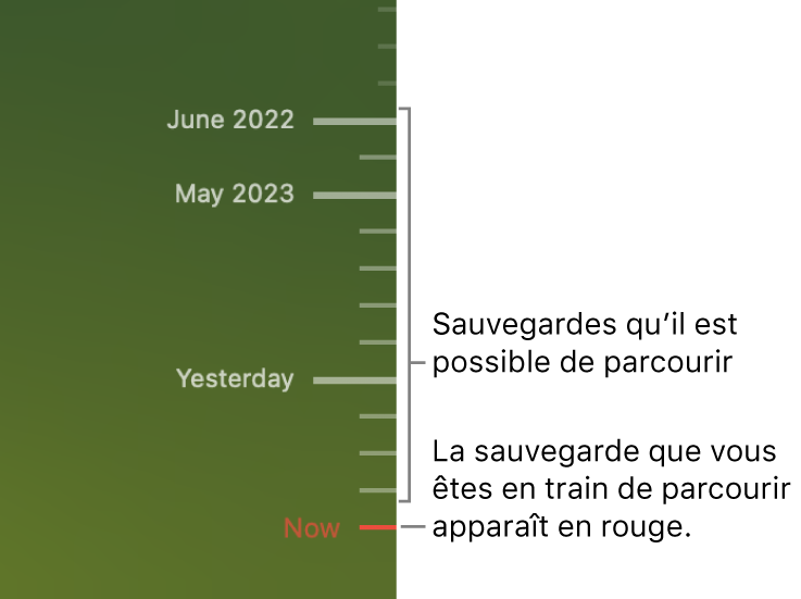 Graduations de la chronologie de sauvegarde. La graduation rouge indique la sauvegarde que vous consultez.