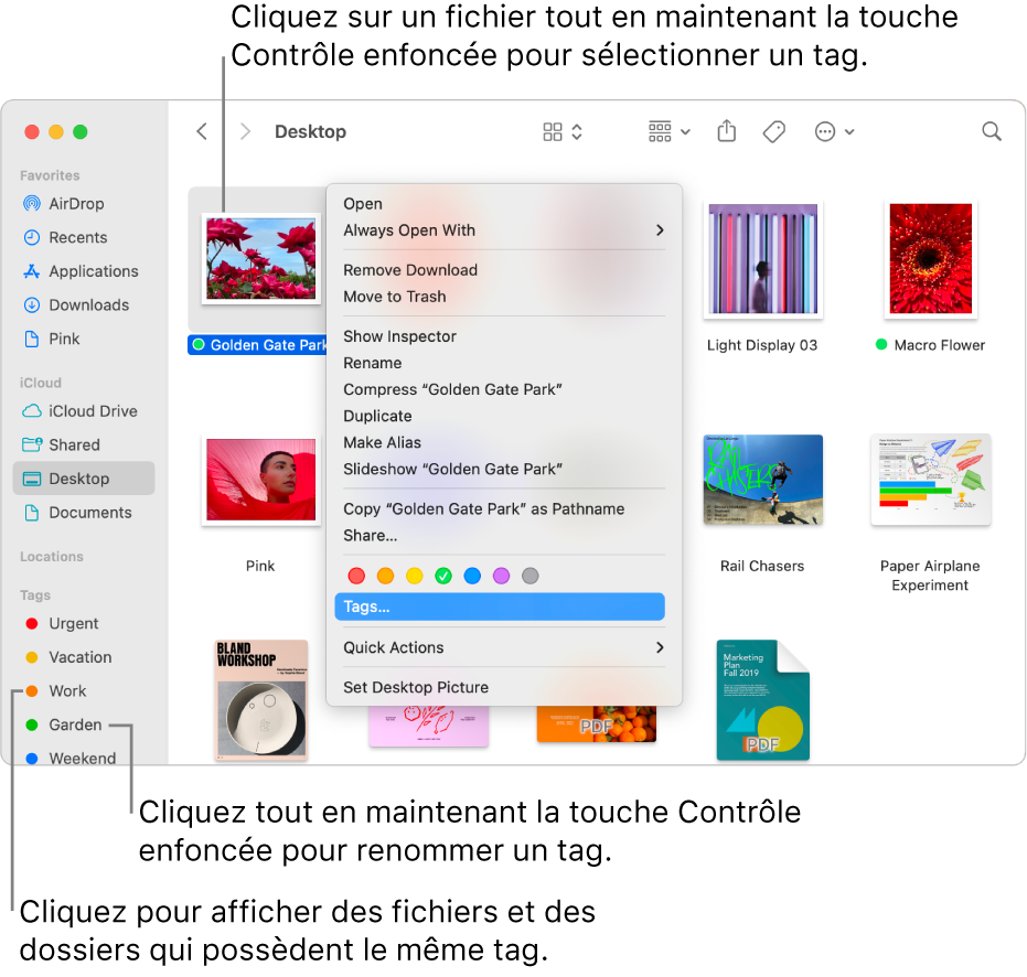 Une fenêtre du Finder contenant des fichiers et dossiers associés à des tags, avec un fichier sélectionné. Différents choix de couleur sont proposés pour les tags dans le menu contextuel, et Tags est surligné.