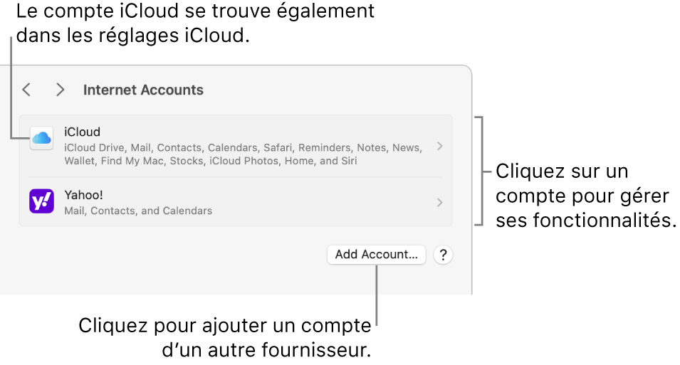 Les réglages « Comptes Internet » avec une liste des comptes configurés sur le Mac.