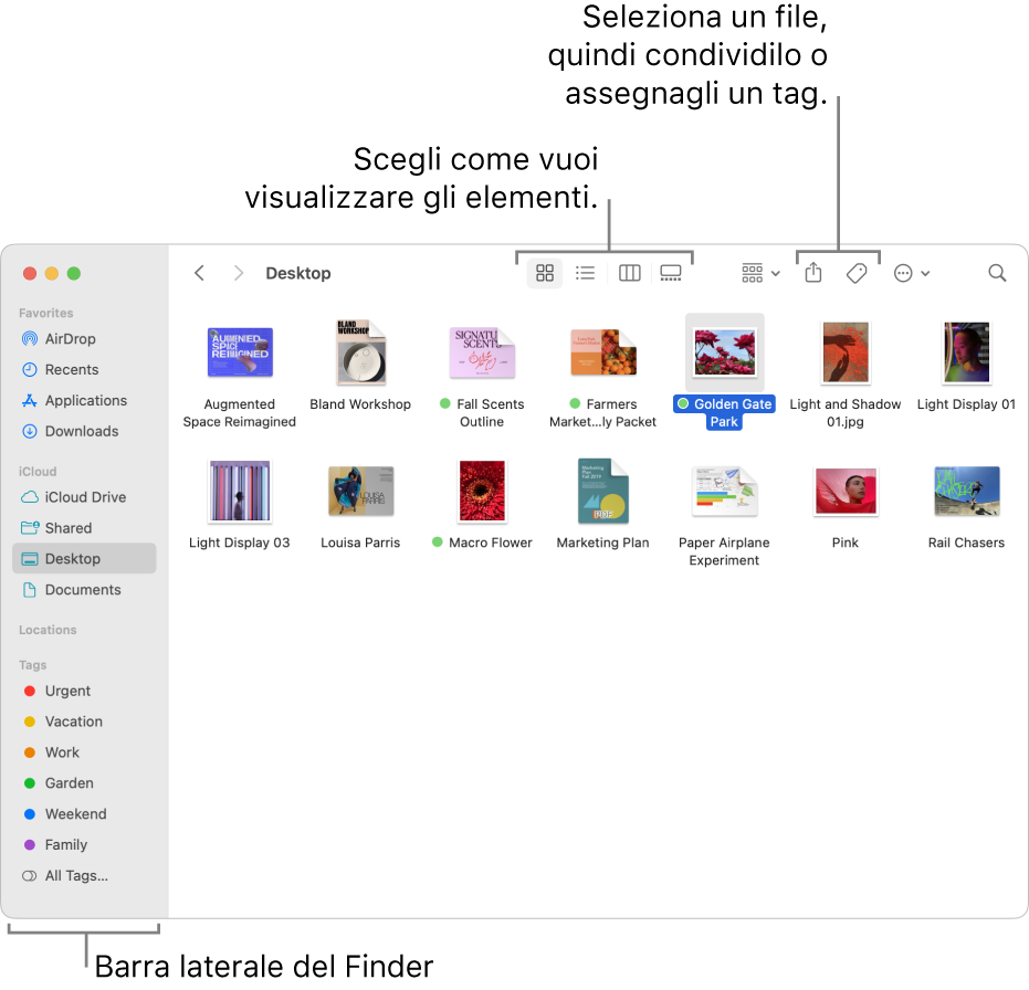 Finestra del Finder con la barra laterale del Finder a sinistra. Nella parte superiore della finestra sono presenti quattro pulsanti per cambiare la modalità di visualizzazione degli elementi nella finestra e pulsanti aggiuntivi per organizzare e condividere gli elementi.