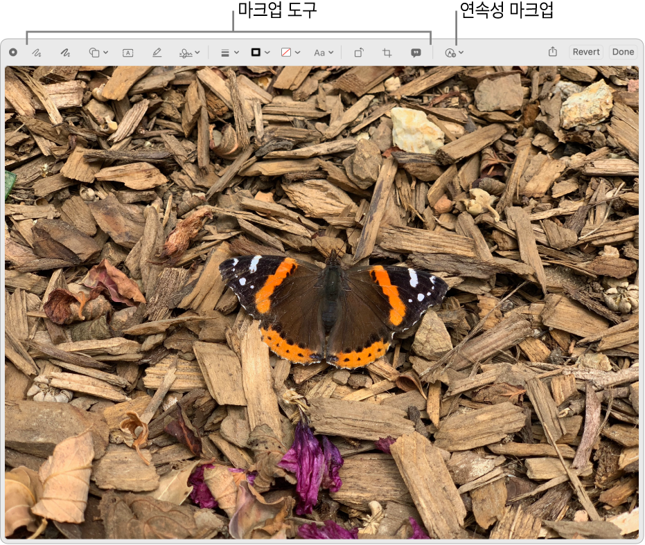 마크업 윈도우에서 마크업 도구의 도구 막대와, 클릭하면 근처에 있는 iPhone 또는 iPad에서 연속성 마크업을 사용할 수 있는 도구를 표시한 이미지.