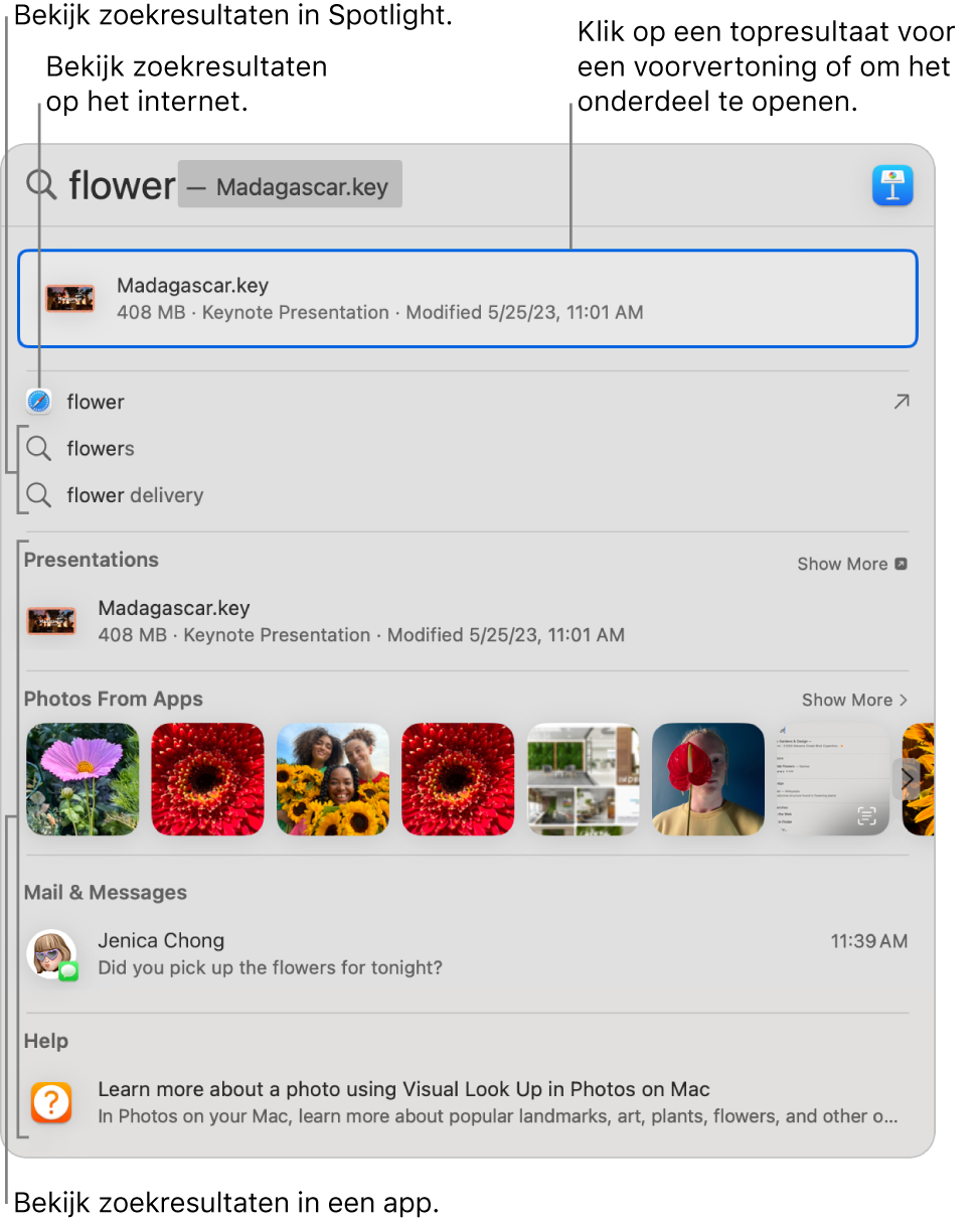 Het Spotlight-venster met zoektekst in het zoekveld boven in het venster en eronder zoekresultaten.