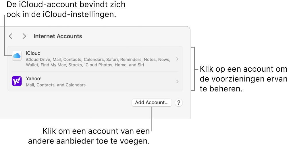 De instellingen voor 'Internetaccounts', met een overzicht van de accounts die op de Mac zijn geconfigureerd.