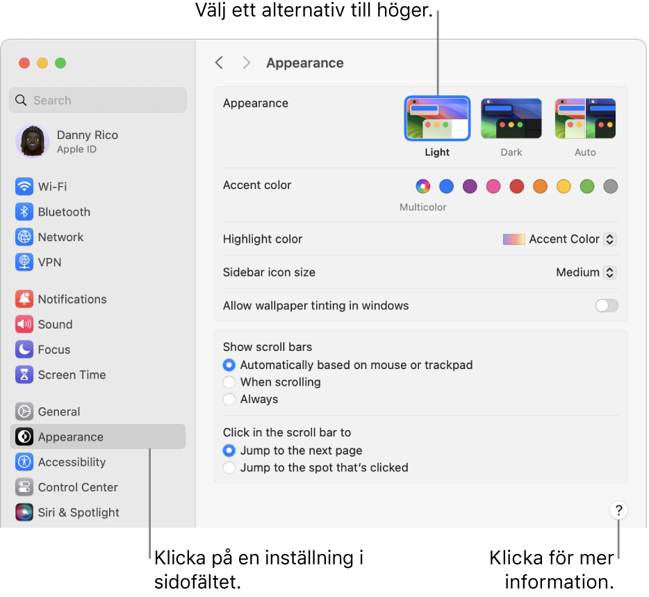 Fönstret Systeminställningar med inställningarna Utseende markerade i sidofältet och alternativen för Utseende till höger.