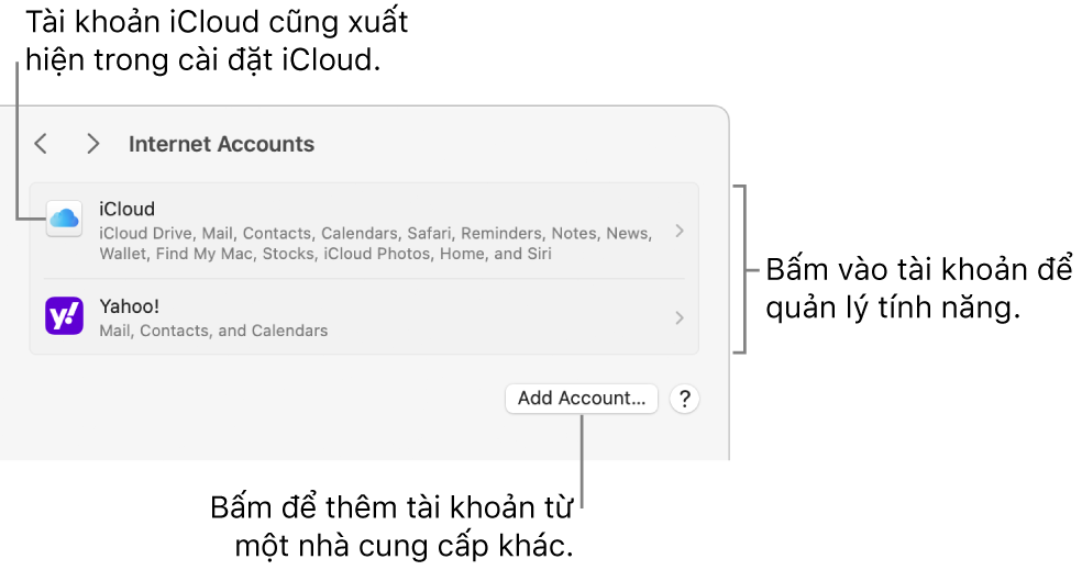Cài đặt Tài khoản internet với các tài khoản được thiết lập trên máy Mac được liệt kê.