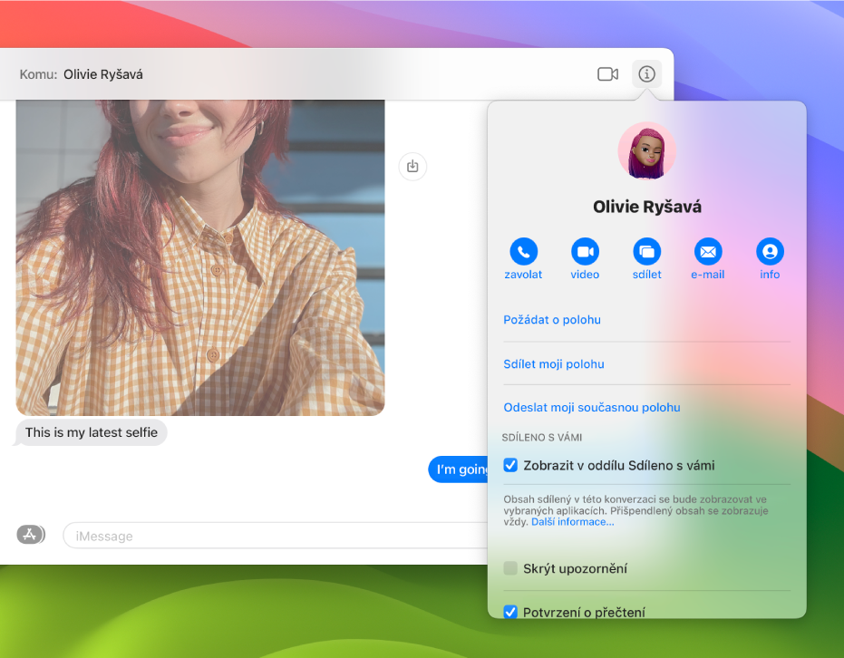 Zobrazení Informace, které uvidíte po kliknutí na tlačítko Informace v konverzaci, s hovorem, videem a tlačítky pro sdílení obrazovky pod jménem osoby