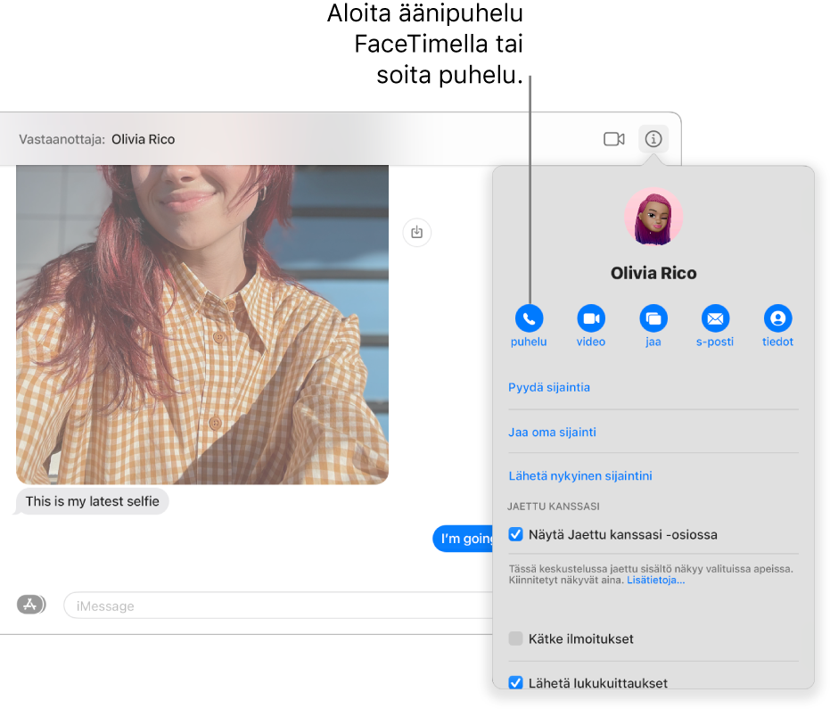 Tiedot-näkymä, joka tulee näkyviin, kun klikkaat keskustelussa Tiedot-painiketta. Aloita vasemmalla olevalla puhelupainikkeella FaceTime-äänipuhelu tai soita tavallinen puhelu.