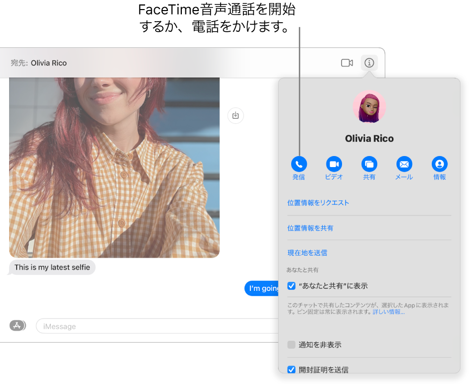 チャットで「情報」ボタンをクリックすると表示される「情報」表示。FaceTimeを使用してオーディオ通話を始めるか、電話をかける場合は、左側にある「オーディオ」ボタンを使用します。