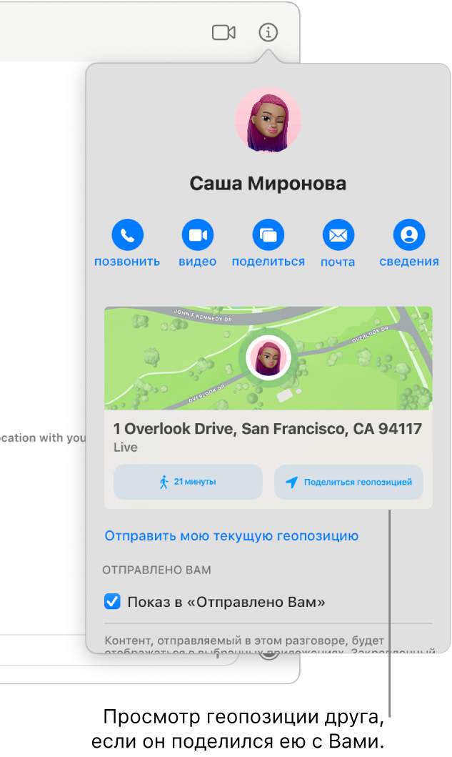 В панели «Свойства», отображаемой после нажатия кнопки «Свойства» в разговоре, показаны значок пользователя, который поделился с Вами своей геопозицией, а также его местоположение на карте и адрес геопозиции.