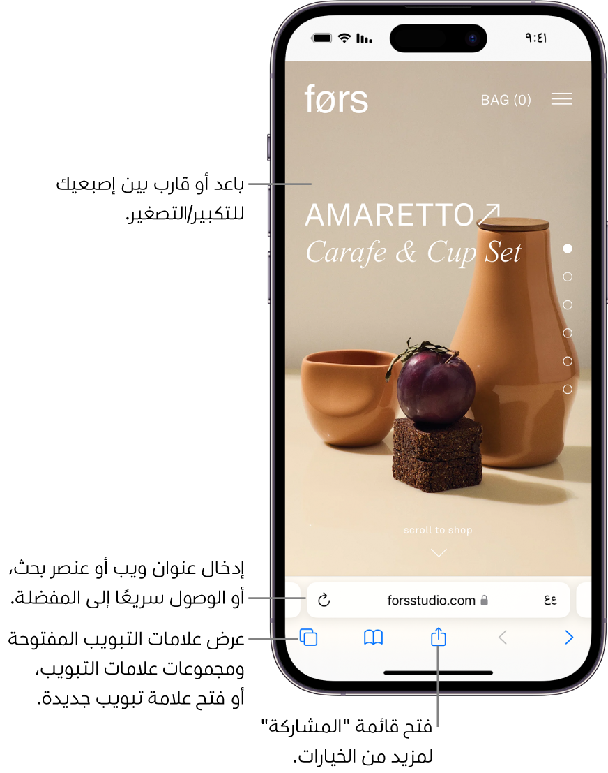 موقع ويب مفتوح في سفاري، ويظهر حقل العنوان في الجزء السفلي. في الجزء السفلي، من اليمين إلى اليسار، تظهر أزرار الخلف، والأمام، والمشاركة، والإشارات المرجعية، وعلامات التبويب.