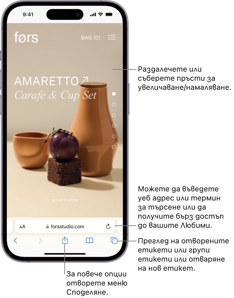 Уеб сайт, отворен в Safari, с полето за адреса в долния край. В долната част, от ляво надясно са бутоните Назад, Напред, Сподели, Отметки и Раздели.
