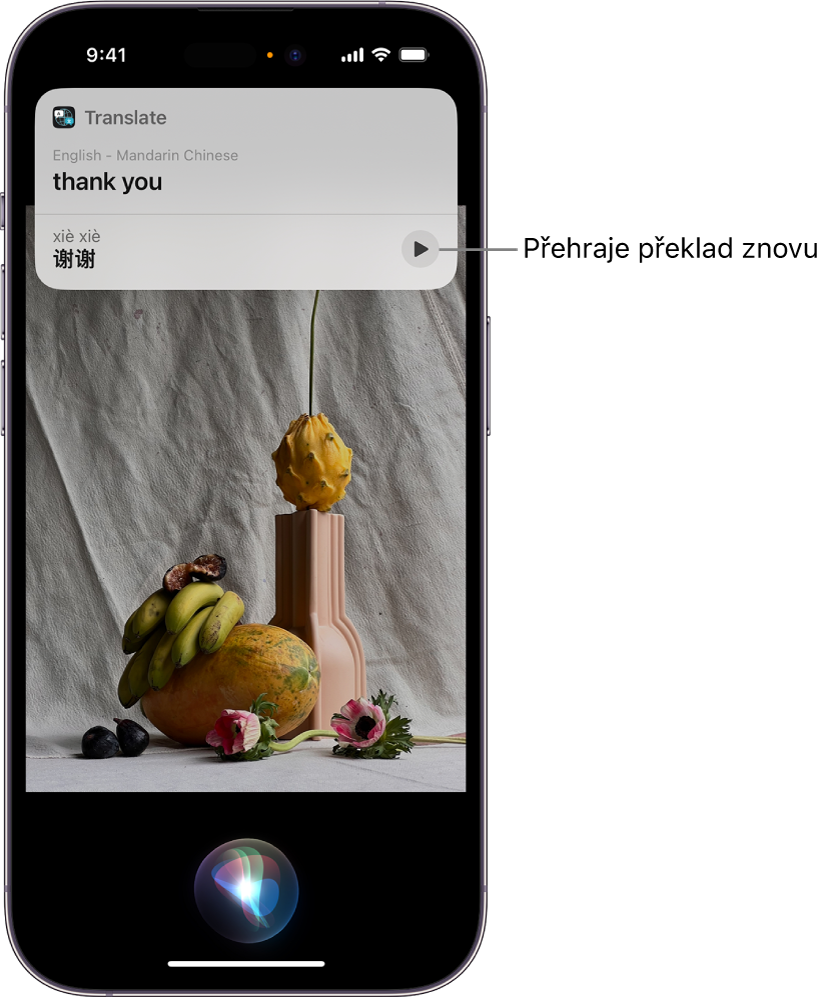 Obrazovka iPhonu, na níž je dole vidět indikátor naslouchání Siri a nahoře odezva od Siri v podobě překladu [z angličtiny do mandarínštiny]