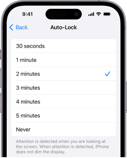 The Auto-Lock screen, with settings for the length of time before iPhone automatically locks.