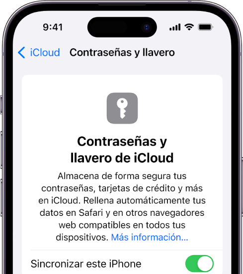 Pantalla del llavero y las contraseñas en iCloud, con un ajuste para sincronizar este iPhone.