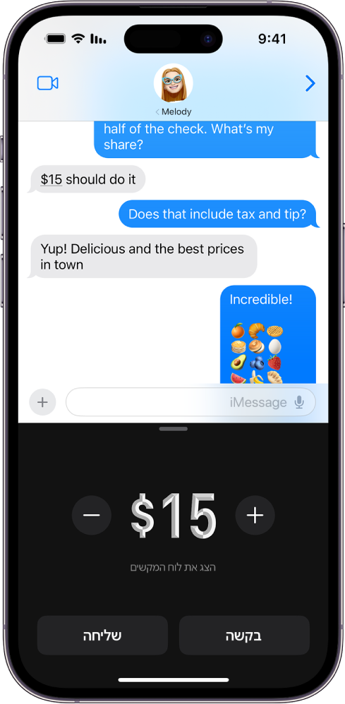 שיחת iMessage עם Apple Pay פתוח למטה.