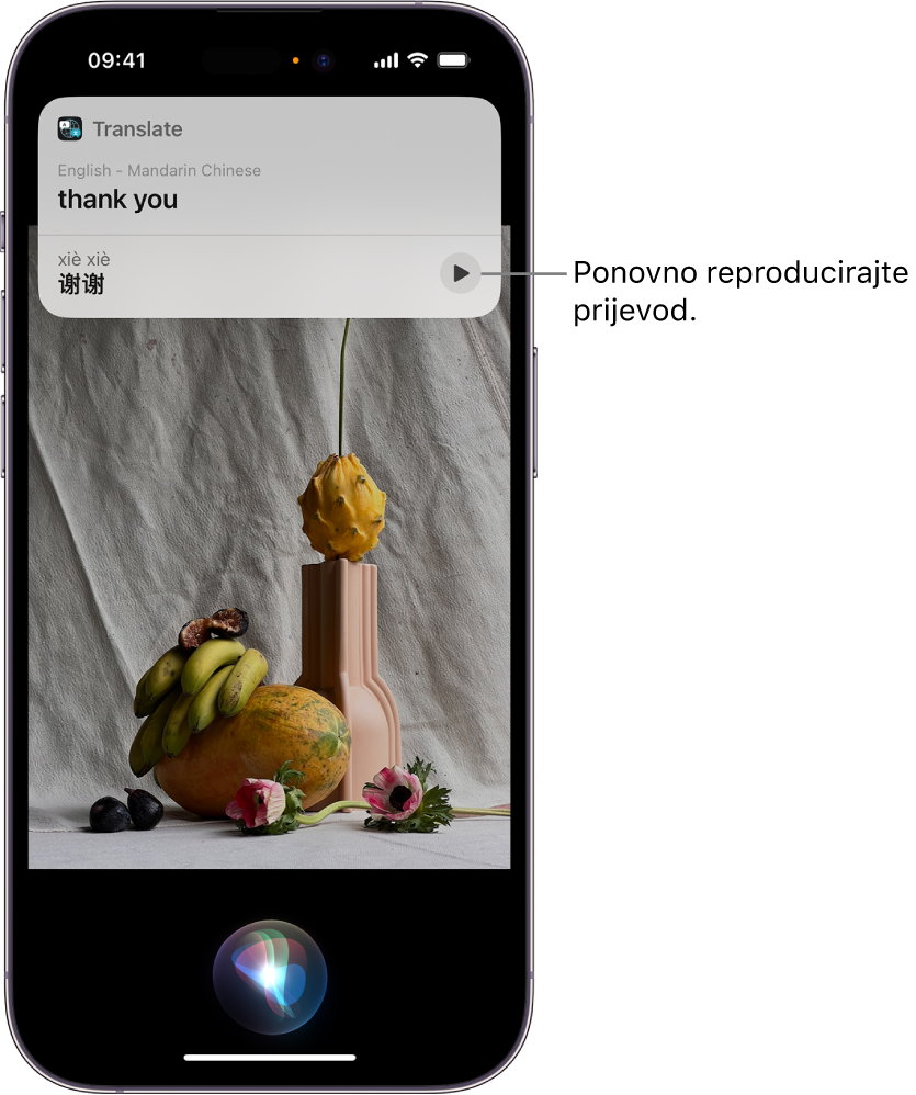 Zaslon iPhonea s indikatorom slušanja značajke Siri na dnu i odgovorom Siri u obliku prijevoda [s engleskog na mandarinski] na vrhu.