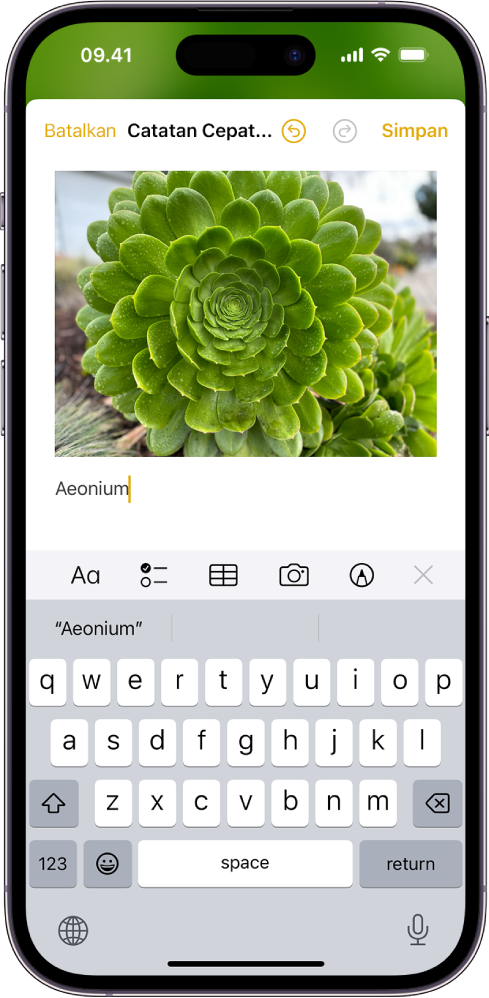 Catatan Cepat menampilkan foto tanaman dengan teks di bawah.