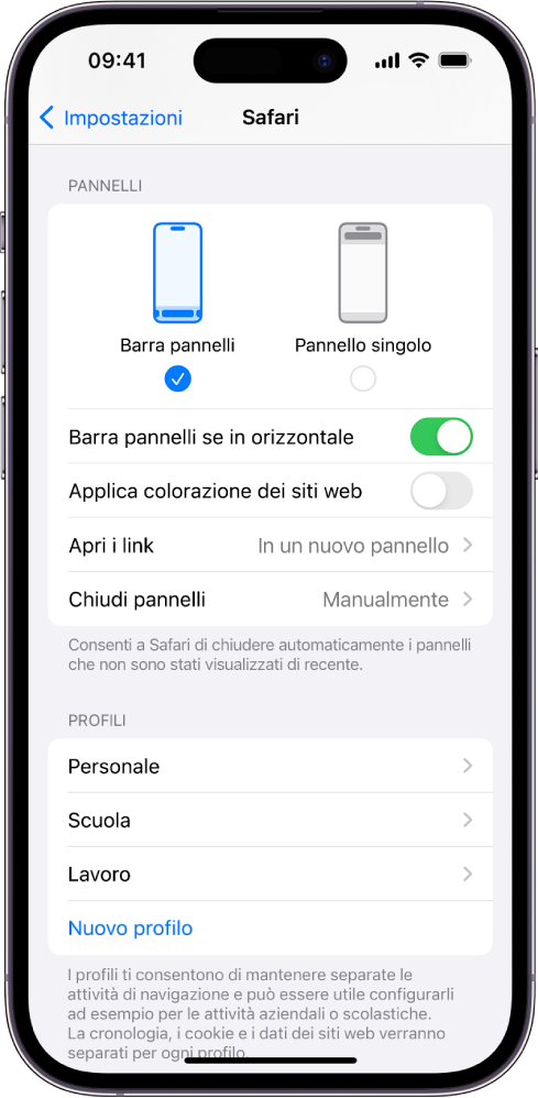 Una schermata che mostra due opzioni i layout di Safari: con barra dei pannelli e a pannello singolo.