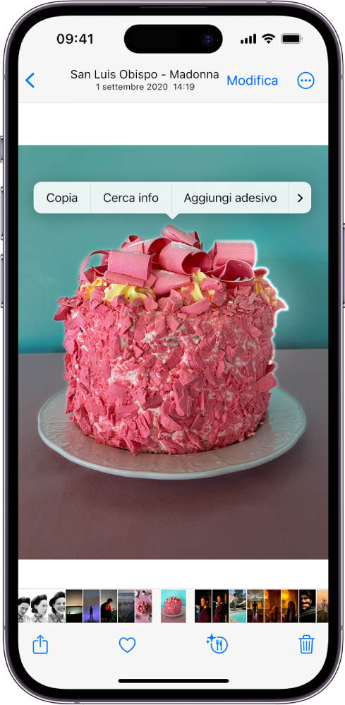 Una foto è aperta nella libreria dell’app Foto. Il soggetto al centro della foto viene evidenziato e i pulsanti Copia,“Cerca info”, “Aggiungi adesivo” e Condividi vengono mostrati sopra di esso.