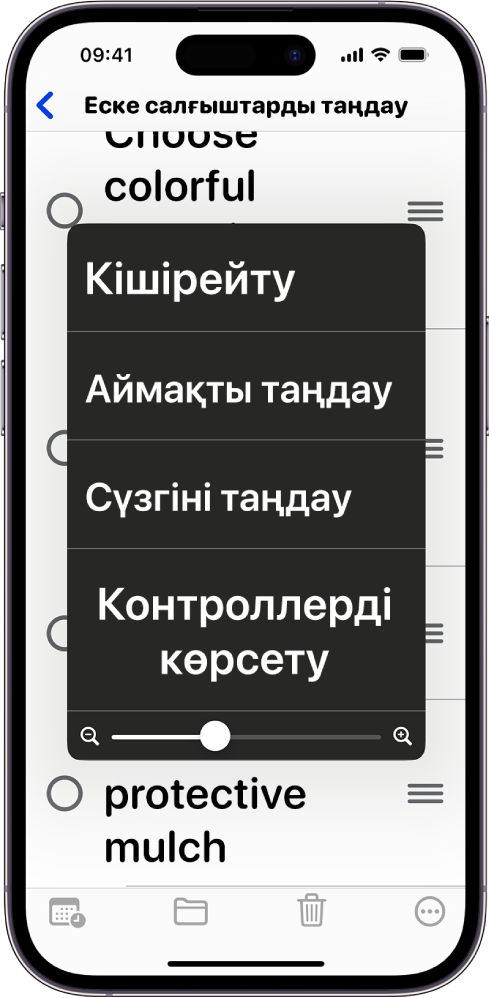 «Масштабтау» мәзірін көрсетіп тұрған iPhone.