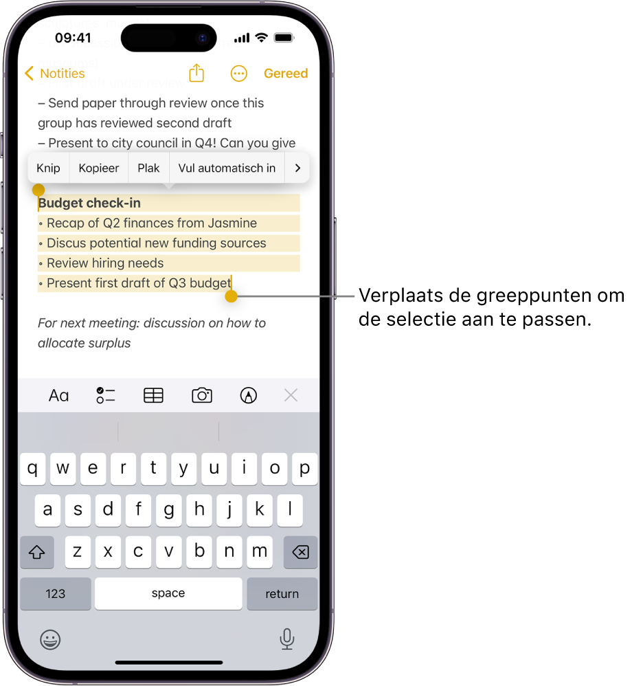 Tekst is geselecteerd in een notitie in de Notities-app. Boven de geselecteerde tekst staan de knoppen 'Knip', 'Kopieer', 'Plak' en 'Vul automatisch in'. De geselecteerde tekst is gemarkeerd, met aan beide uiteinden greeppunten om de selectie aan te passen.