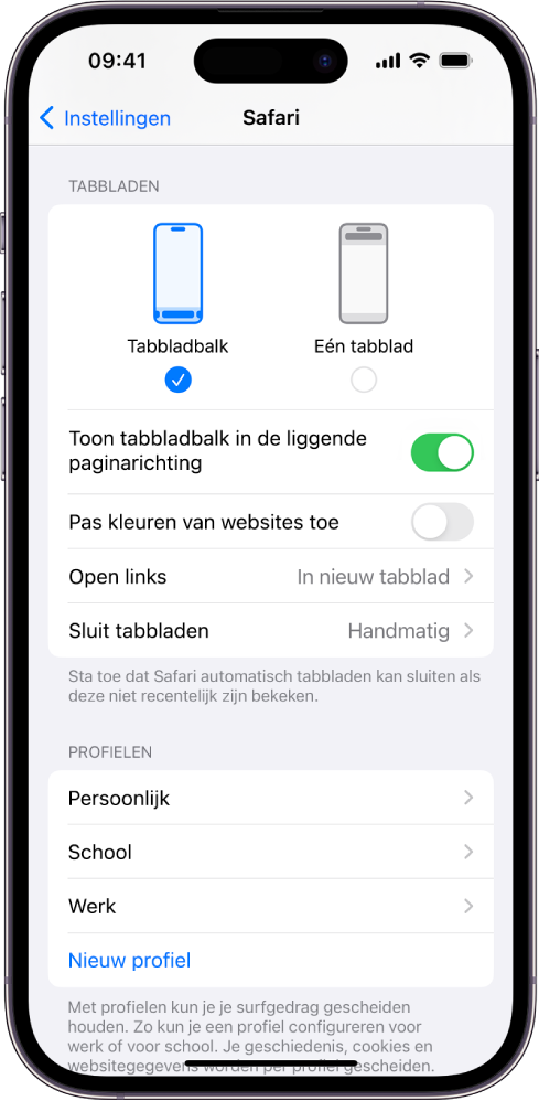 Een scherm met twee lay-outopties voor Safari: 'Tabbladbalk' en 'Eén tabblad'.