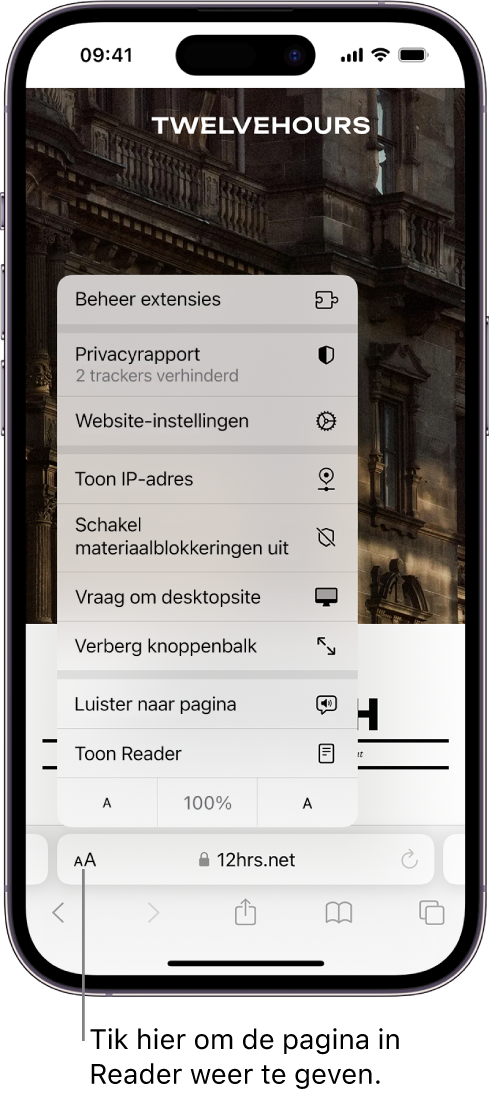 Het menu 'Pagina-instellingen'. Onder in het menu staat de optie 'Toon Reader'.