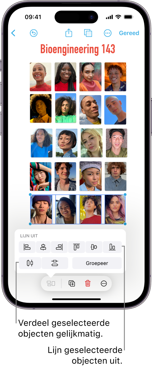 Een Freeform-bord met foto's in een raster. Er zijn meerdere foto's geselecteerd, met daarboven de opties voor uitlijnen en groeperen.