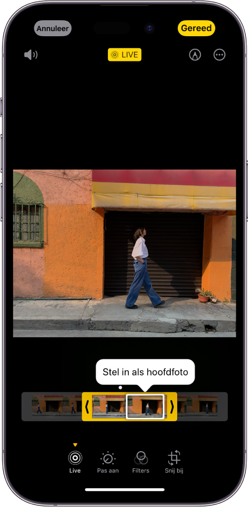 Een Live Photo-scherm met in het midden de Live Photo. Onder de foto staat de frameviewer, waarbij de knop 'Stel in als hoofdfoto' actief is. Aan beide zijden van de frameviewer staan twee pijlen waarmee je de Live Photo kunt inkorten. Onder in het scherm staan de knoppen 'Live', 'Pas aan', 'Filters' en 'Snij bij'. De knop 'Live' is geselecteerd. De knop 'Annuleer' staat linksboven in het scherm en de knop 'Gereed' staat rechtsbovenin. Verder staan boven in het scherm van links naar rechts de knoppen 'Geluid uit', 'Live', 'Markering' en 'Plug-ins'.