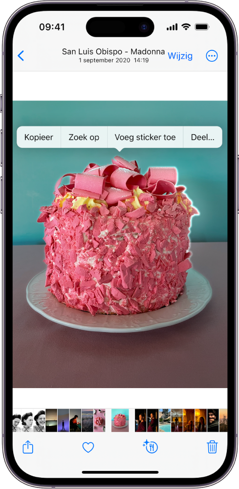 Een foto is open in de fotobibliotheek van de Foto's-app. Het onderwerp in het midden van de foto is omlijnd en erboven staan de knoppen 'Kopieer', Zoek op', 'Voeg sticker toe' en 'Deel'.