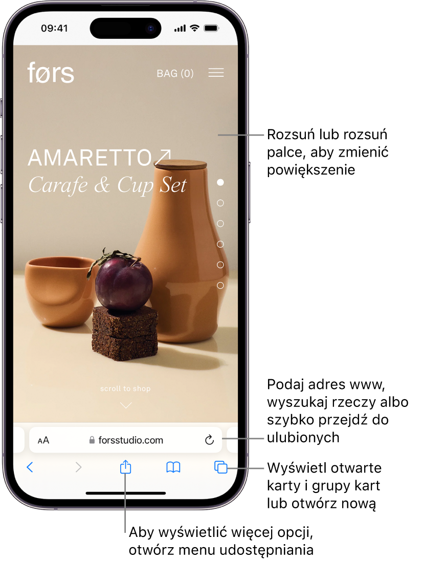 Witryna otwarta w Safari; na dole znajduje się pole adresu. Na dole znajdują się (od lewej do prawej) przyciski powrotu, przejścia do przodu, zakładek i kart.