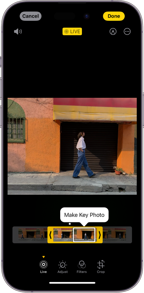Zaslon Live Photo s fotografijo Live Photo na sredini. Pod fotografijo je pregledovalnik sličic z aktivnim gumbom Make Key Photo. Na obeh straneh pregledovalnika sličic sta dve puščici, s katerima lahko obrežete fotografijo Live Photo. Na dnu zaslona so gumbi Live, Adjust, Filters in Crop. Izbran je gumb Live. Gumb Cancel je v zgornjem levem kotu zaslona, gumb Done pa v zgornjem desnem kotu zaslona. Tudi na vrhu zaslona, od leve proti desni, so gumbi Mute, Live, Markup in Plug-ins.