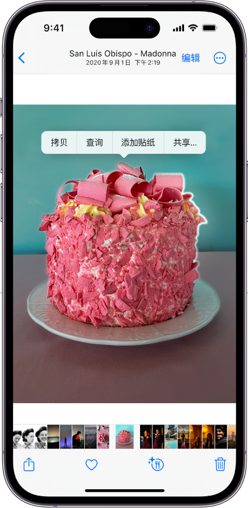 “照片” App 的图库中打开了一张照片。照片中央的主体被勾勒出轮廓，“拷贝”、“查询”、“添加贴纸”和“共享”按钮显示在其上方。